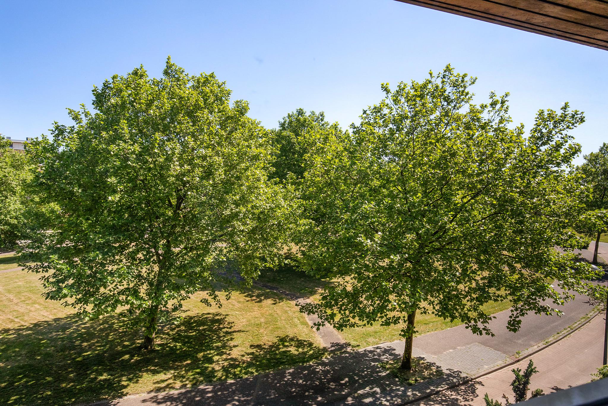 Zomerpark 28 , 2151 HA Nieuw-vennep 30